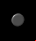 Globus