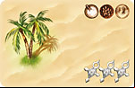 Tribal card